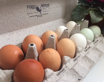 Hollow Blown-out Eggs from Free-Range Hens