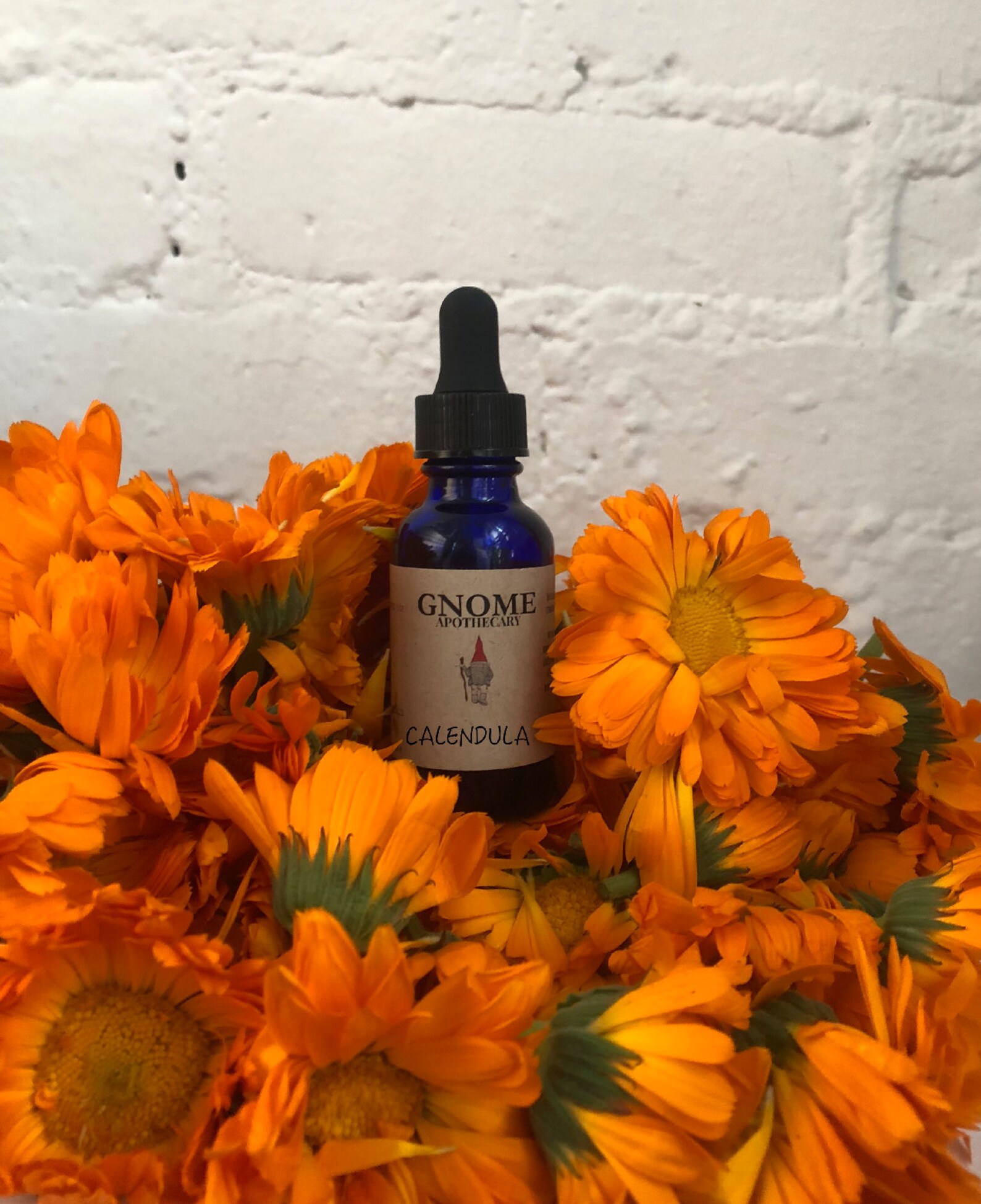 Calendula Tincture Calendula officinalis Organic Etsy