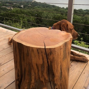 Extra Large Stump Table - Reclaimed