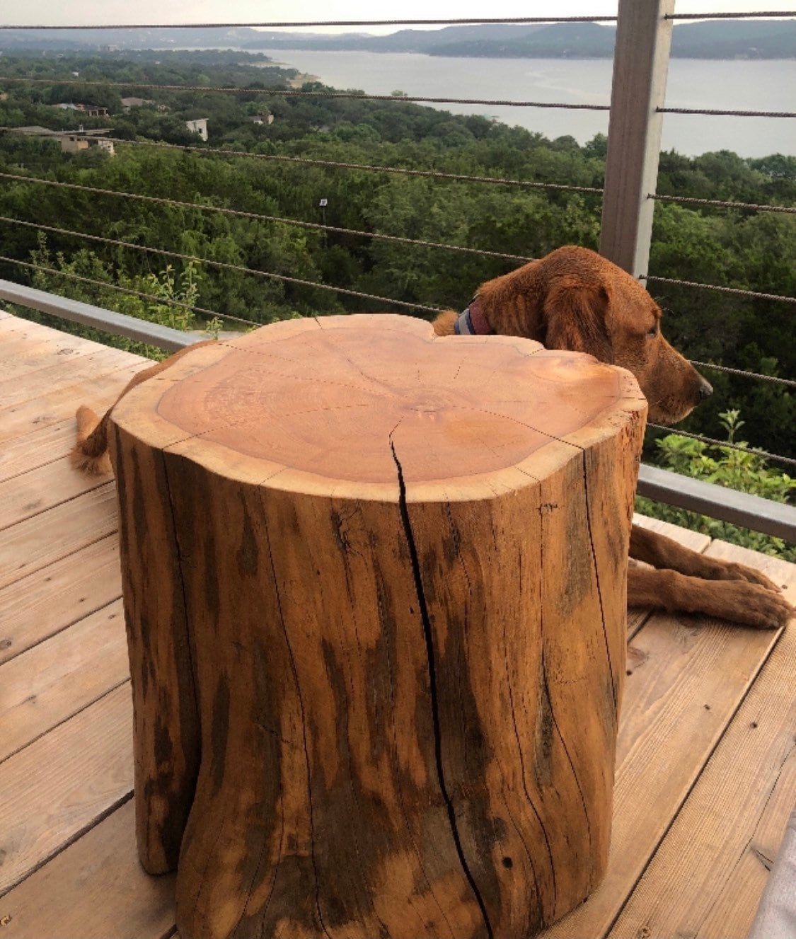 Extra Large Stump Table Reclaimed Etsy