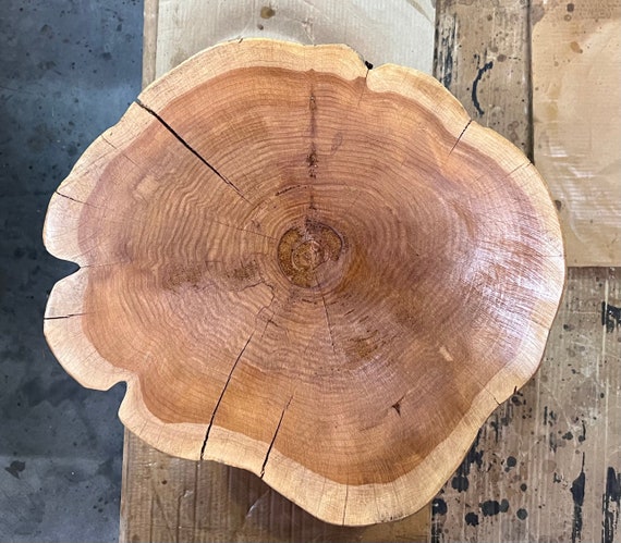 Natural tree stump coffee table discount
