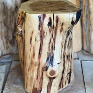 May include: A rustic wooden stool made from a tree trunk with a natural wood finish. The stool has a rough, textured surface and a unique shape.