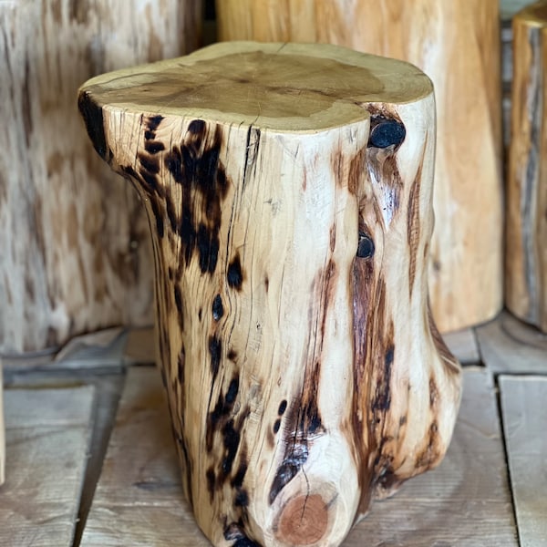 Rough Hewn Small Stump Table - Reclaimed