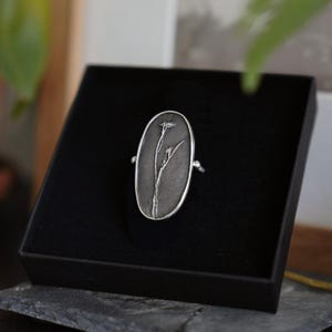 Fossil Daisy Ring Large, 925 Sterling Silver Oxidised,  Pressed Flower, Fossilised Flower, Handmade Medallion Statement Ring