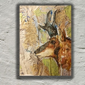 Stampa eco (Pronghorn)