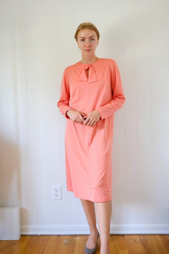 1970s Does 1960s Work Dress// Vintage Double Polye