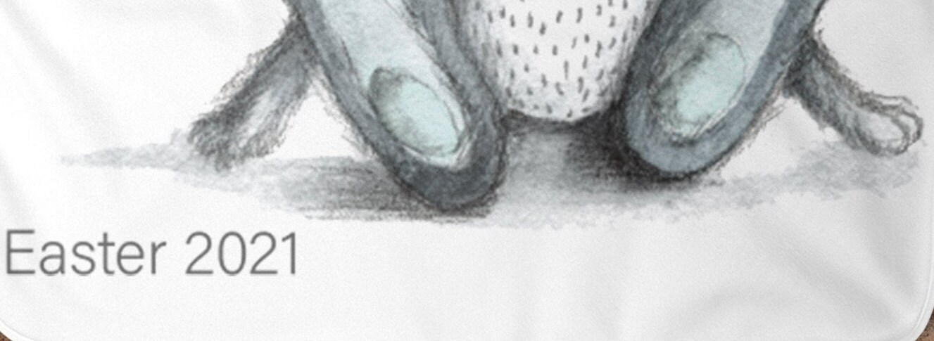 Customized Easter Bunny Rabbit Name Blanket Gift Personalized - Etsy