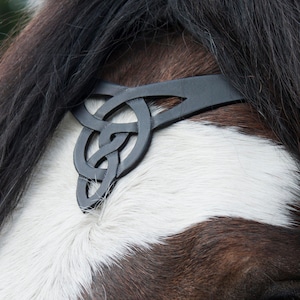 Puede incluir: Primer plano de un caballo marrón y blanco con un cabestro de cuero negro con un diseño de nudo celta.