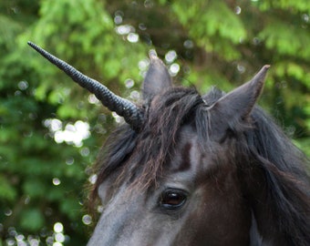 Black Unicorn horn - With detachable base