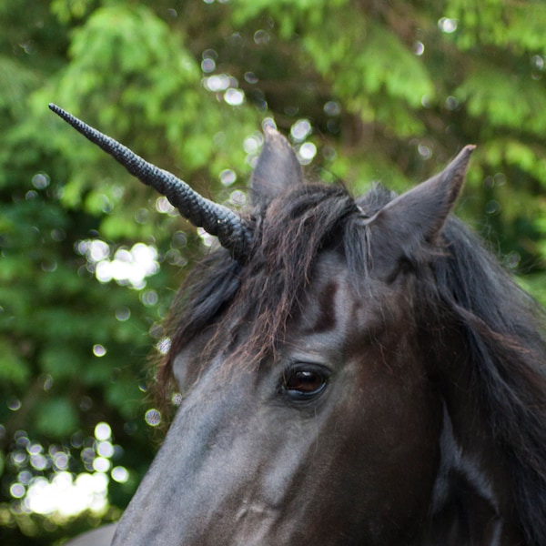 Black Unicorn horn - With detachable base
