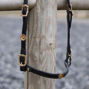 Op de afbeelding: Een zwart lederen paardenhalster met goudkleurige hardware en decoratieve accenten. Het halster hangt aan een houten paal.