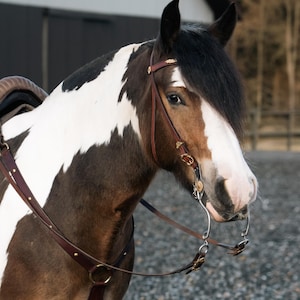 Renaissance bridle and breastcollar set Size Full