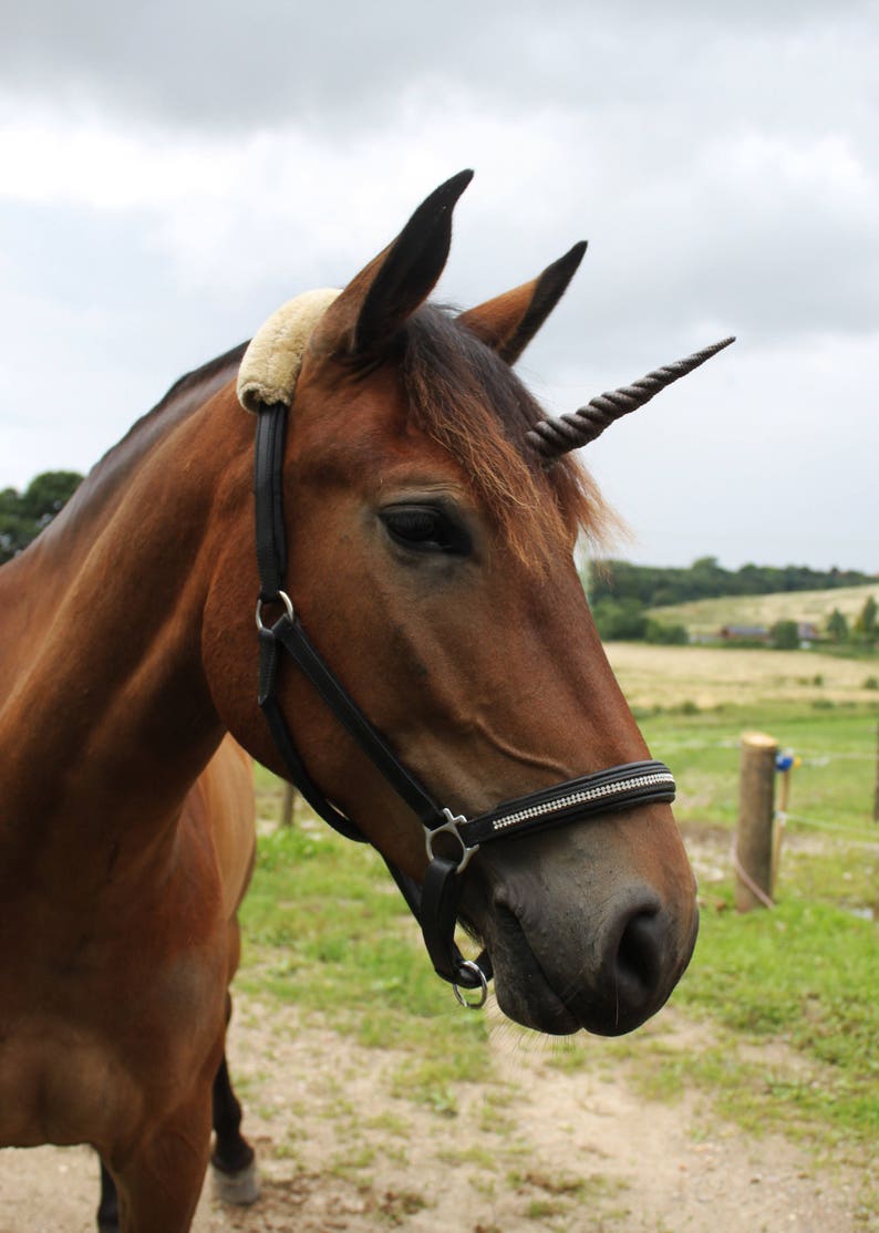 Dark brown Unicorn horn With detachable base