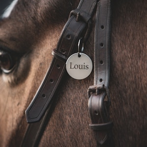 Può includere: Primo piano della testa di un cavallo marrone con un morso in pelle e un'etichetta in argento con la scritta "Louis".