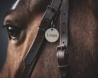 Targhetta personalizzata per cavezza da cavallo / Acciaio inossidabile inciso / Targhetta personalizzata per briglia / Targhetta identificativa per sella / Targhetta con nome per finimenti da cavallo