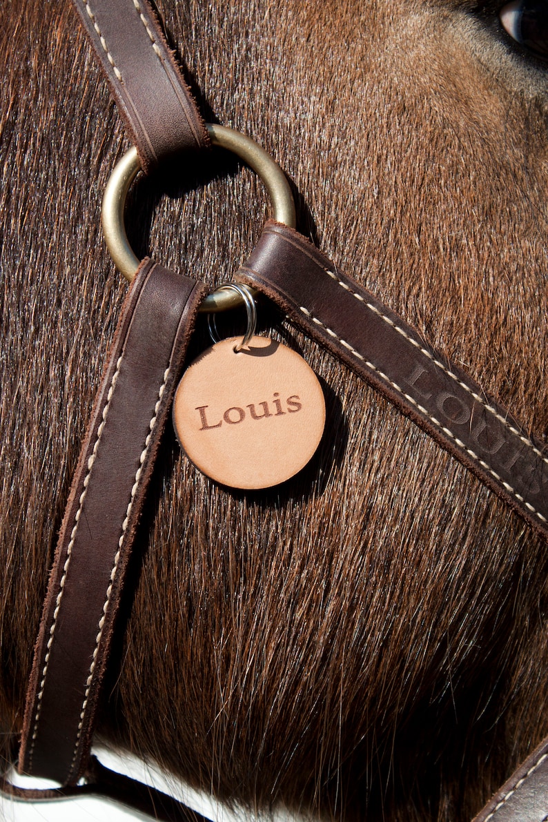 Name Tag for Horse Tack Lead Rope Halter Bridle Saddle Etsy