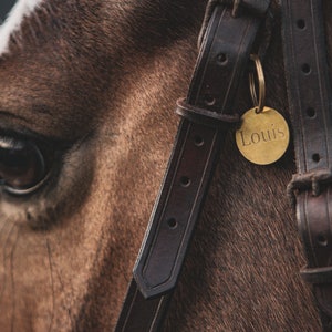 Etiqueta de identificação de latão (24 mm/0,94 polegadas) - para arreios de cavalo, corda de chumbo, cabresto, freio, sela, etc.