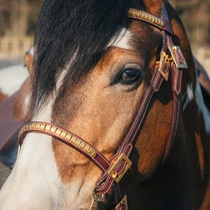 Handmade Red and Brass Clincher Bridle + Breastcollar set Size Full
