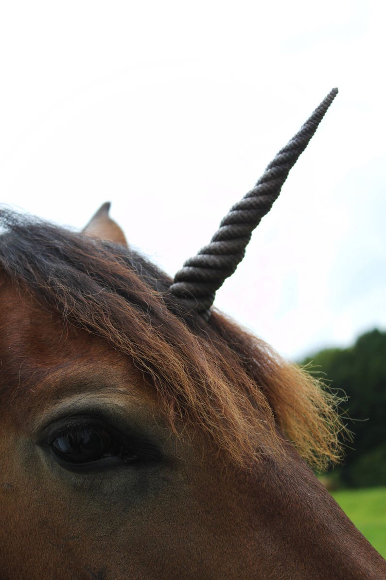 Dark brown Unicorn horn With detachable base