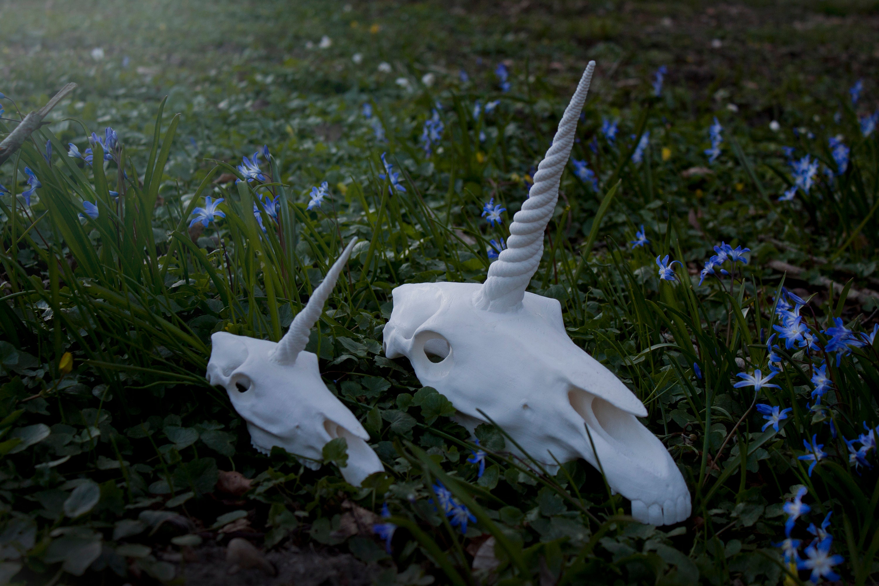 3D Printed Unicorn Skull - Etsy