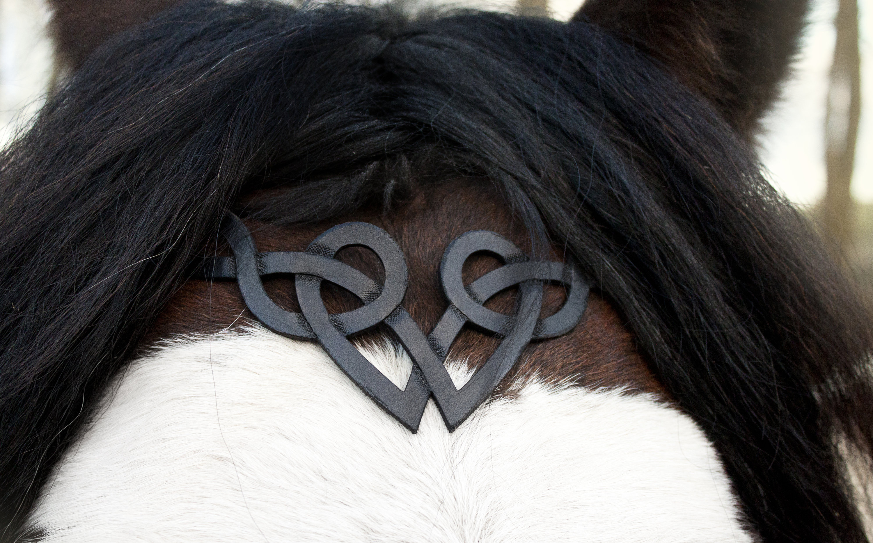 Impression de brevet de mors de bride de cheval