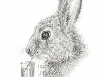 cute rabbit drawing etsy