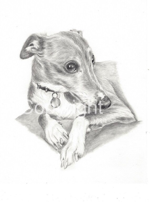 sighthound art