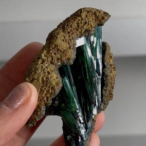 May include: A natural mineral specimen featuring a cluster of dark green, needle-like crystals emerging from a rough, brown matrix. The crystals have a reflective, glassy appearance, contrasting with the earthy texture of the surrounding rock.