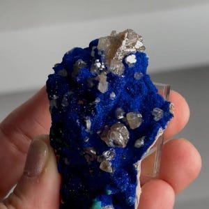 May include: A raw mineral specimen featuring a vibrant, deep blue azurite cluster accented with small, translucent, light-colored crystalline formations. The textured, jagged surface displays a rich cobalt hue with scattered, clear, geometric mineral points embedded throughout the structure.