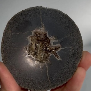 Può includere: Una fetta di geode rotonda, grigio scuro, con un bordo esterno ruvido e strutturato. Il centro presenta una formazione cristallina scintillante nei toni dell'oro e del marrone, con crepe che si irradiano verso l'esterno.