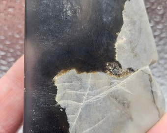 May include: A black and white stone with a rough, textured surface. The stone has a natural, organic shape and is a unique piece of nature.