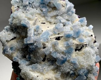 May include: A close-up of a mineral specimen featuring clusters of light blue, cubic crystals. The crystals are set against a matrix of white and gray material, with dark inclusions. The overall texture is rough and crystalline.
