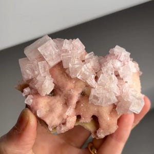 May include: A close-up of a pink mineral specimen. The mineral features clusters of translucent, cubic crystals atop a textured, pinkish-beige base. The specimen is held in a hand, with a blurred background.
