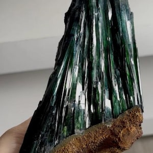 May include: A striking, dark green mineral specimen with a crystalline structure. The top portion features a cluster of elongated, needle-like crystals, while the base is a rough, brown matrix. The mineral has a glossy, reflective surface.
