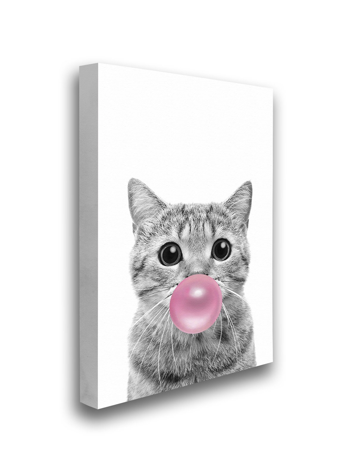 Cat chewing gum 2025