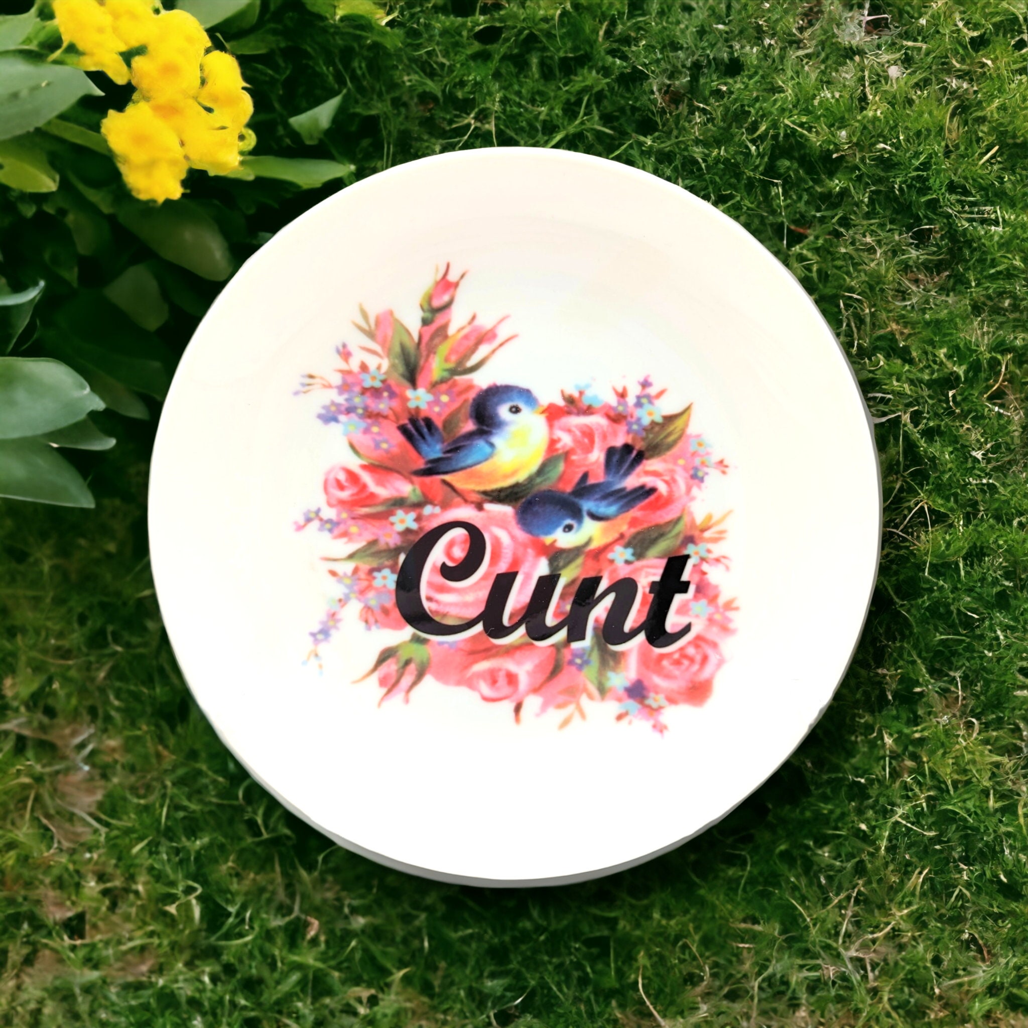 C*nt - retro blue birds - 6" plate - kitschy home decor with stand and hook