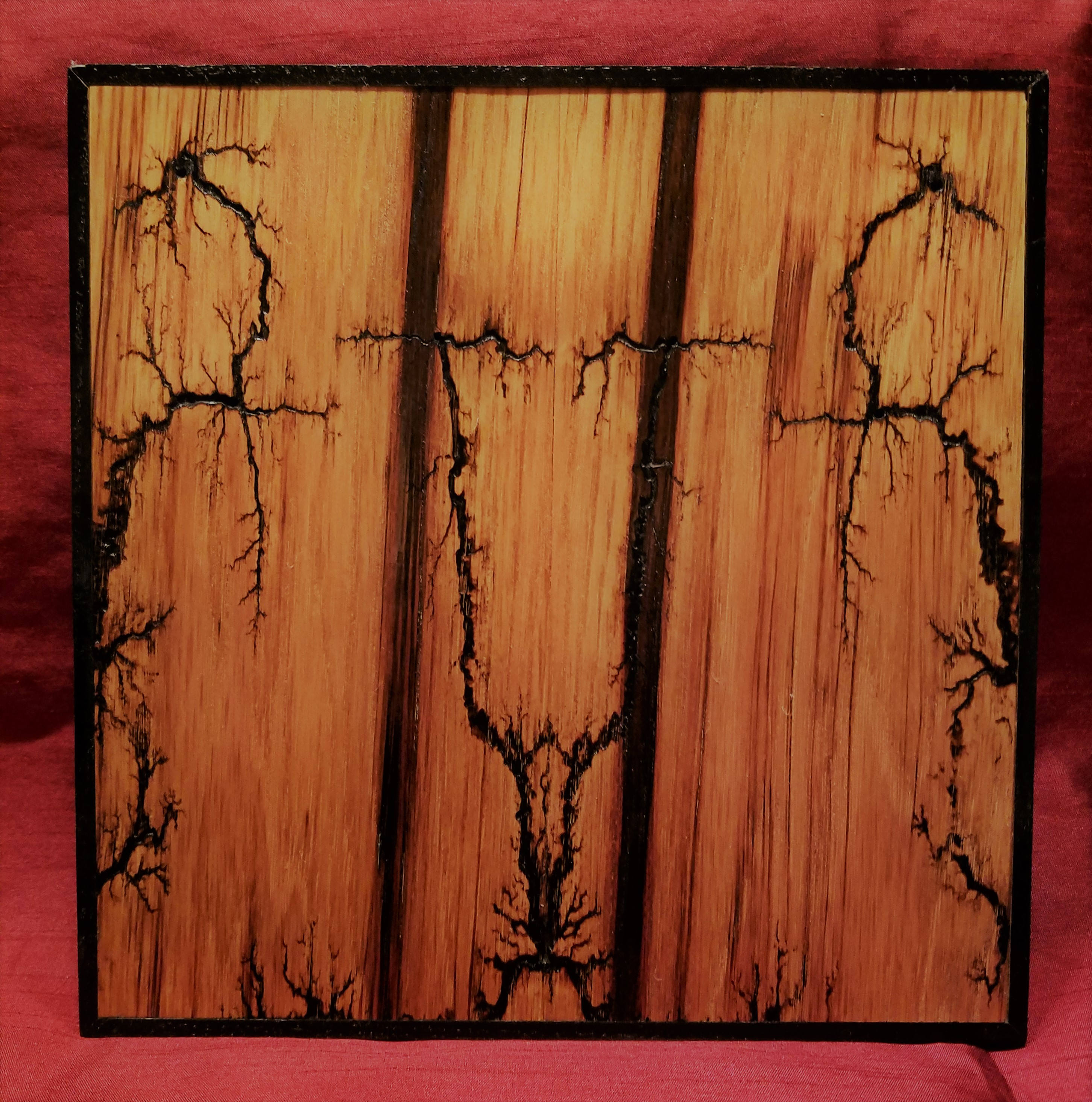 Lichtenberg Wood Wall Art Etsy