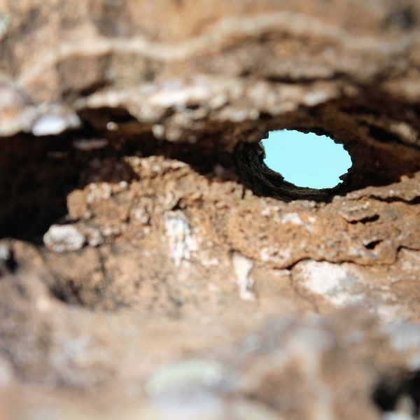 terrarium rock-holey rock-limestone rock - educational tool - natural oddity