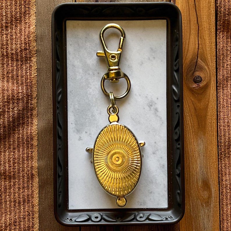 Gold Dragonfly Purse Charm, Unique Abalone Handbag Jewelry, Zipper Pull for Backpacks, Cute Zipper Charms, Cool Keychain Charms, Mom Gifts image 8