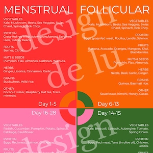 Cycle Syncing Food Guide | Hormone Balance Nutrition Chart | Menstrual Phase Meal Plan | Printable Wellness Fridge Poster | Digital Download