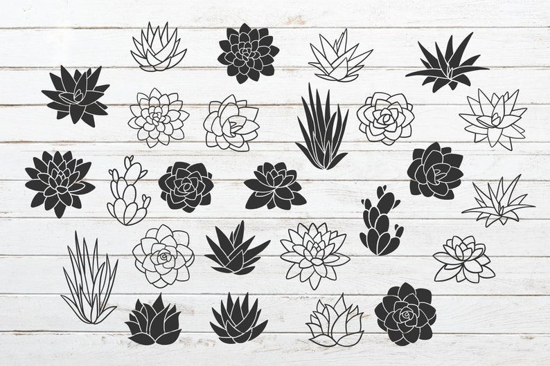 Download Succulent SVG bundle cactus svg cactus clipart cacti svg ...