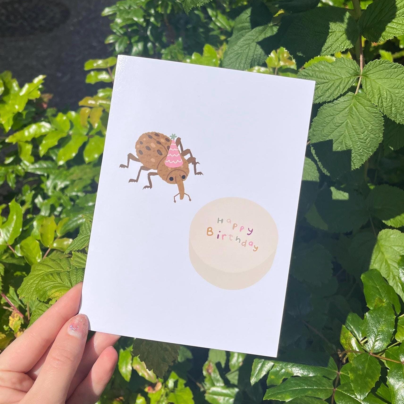 Explore 1,012 Free Beetles Illustrations: Download Now