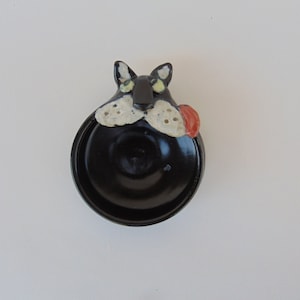 Kitty Bowl