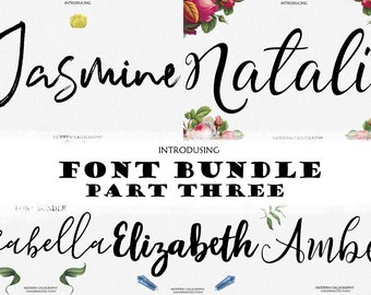 Font Bundle Digital font Brush Script Digital download swash font Handwritten font modern calligraphy font wedding font Cricut Swirly Font