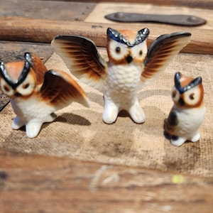 miniature bone china owls, knick knack, home decor