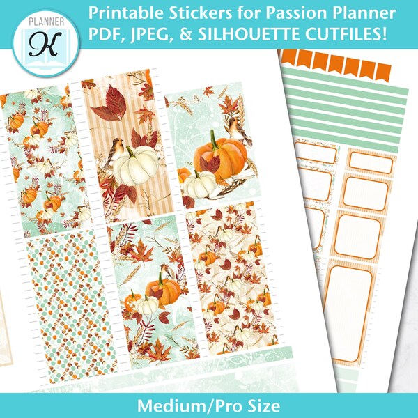 Passion Planner - Etsy