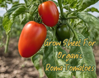 Grow Sheet For Organic Roma Tomato AKA Plum or Paste tomatoes