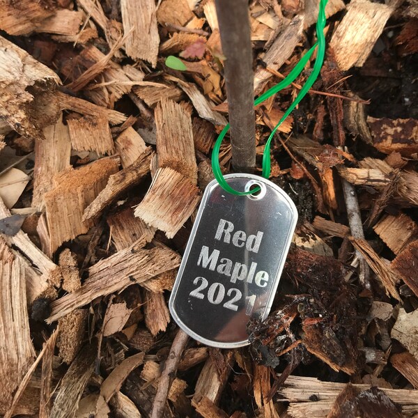 Tree Tags Custom Engraved, custom plant tag, garden accessories, garden label, plant label, permaculture gift orchard markers gardening gift