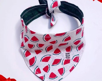 RED & GREEN WATERMELON reversible tie on bandana with straps or over the collar without straps