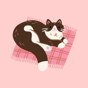 Autumn Cats A6 Sticker Sheet: Cute Cat Journal Stickers for Fall - Etsy UK